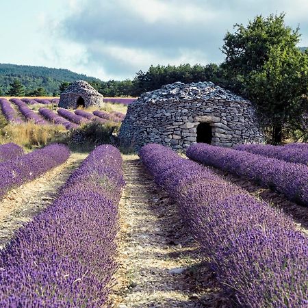 Le Cabanon Des Lavandes Entre Mont Ventoux Et Luberon Sault Exterior foto